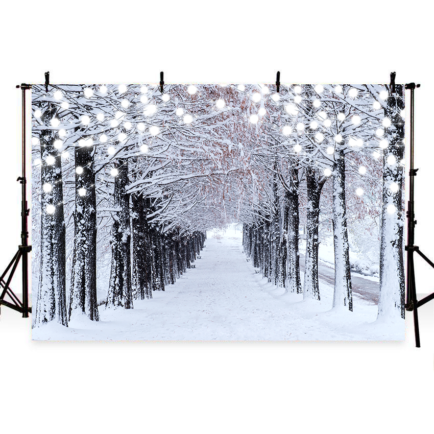 Toile de fond de forêt de neige d'hiver pour la photographie SBH0304