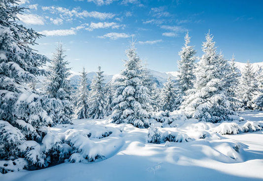 Toile de fond du pays des merveilles de la forêt de neige d'hiver blanc pour la photographie