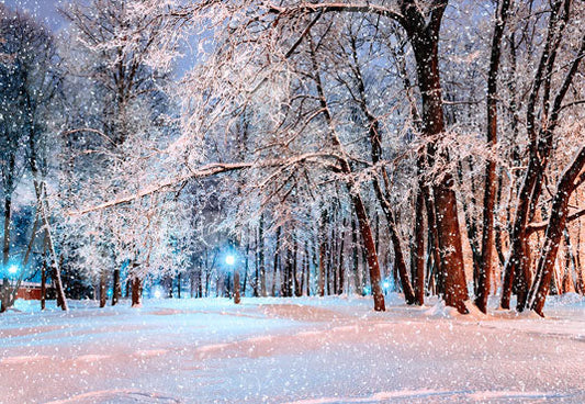 Toile de fond fond d'hiver nuit neige parc photographie