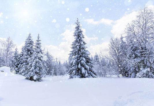 Toile de fond neige blanc forêt hiver pays des merveilles de photographie