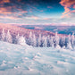 Toile de fond de forêt de couverture de neige d'hiver pour la photographie