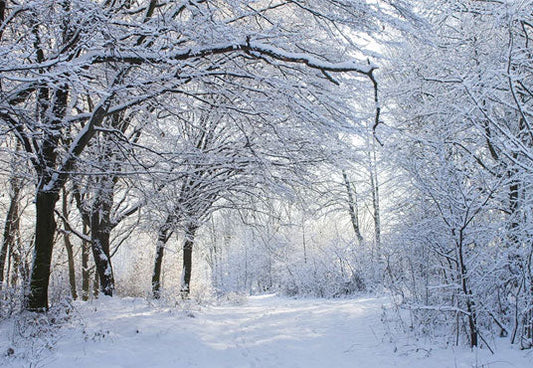 Toile de fond de couverture de neige branches photographie d'hiver