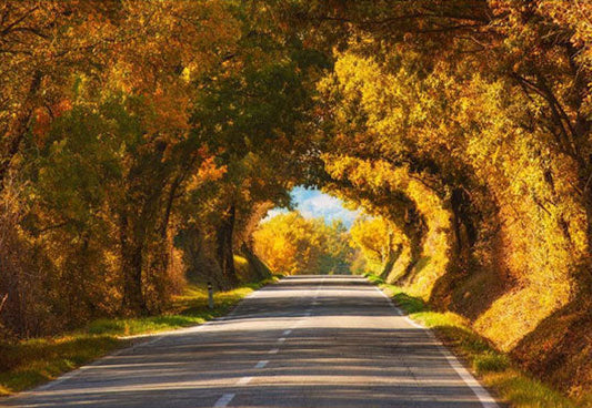 Toile de fond d'arbre jaune arche forêt automne beau paysage