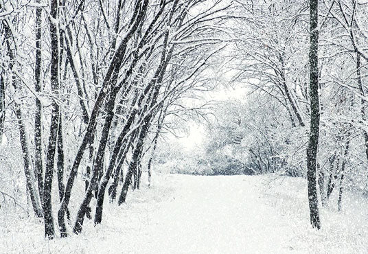 Toile de fond de couverture de neige blanche arbre route photographie d'hiver