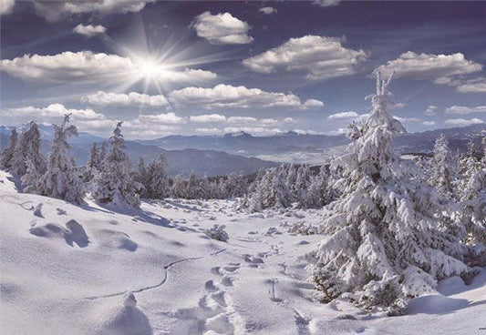 Toile de fond de photographie de pin de neige d'hiver