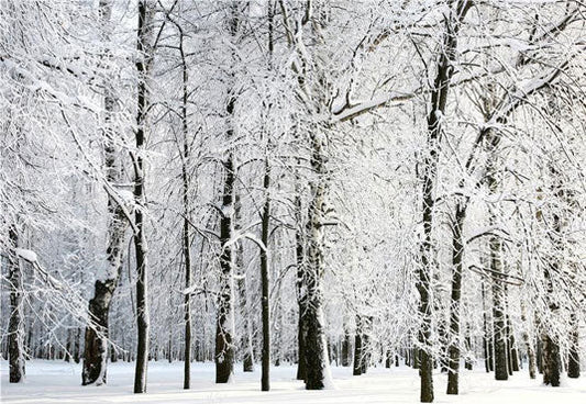 Toile de fond d'hiver de neige blanche pour la photographie