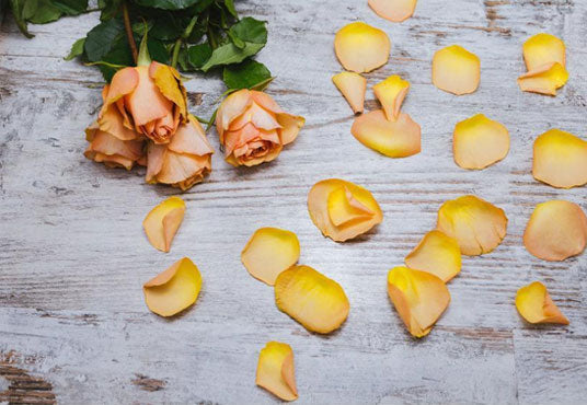 Toile de fond de fleurs de pétales jaunes imprimées en bois pour la photographie