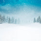 Toile de fond de couverture de neige d'hiver de photographie fond de Noël