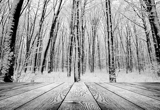 Toile de fond de photographie de forêt de neige blanche d'hiver fond de plancher en bois