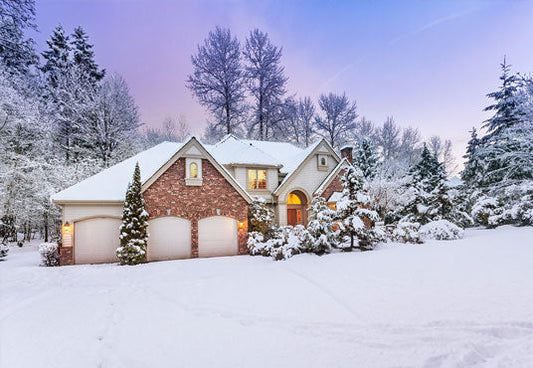 Toile de fond de photographie de maisons de neige de forêt d'hiver