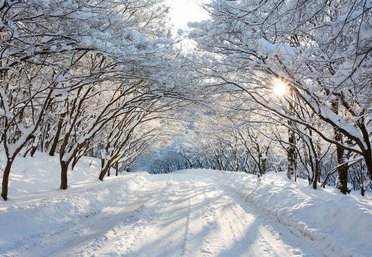 Toile de fond de photo de route de couverture de neige blanche du pays des merveilles d'hiver