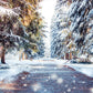 Toile de fond d'hiver neige forêt route pays des merveilles de photographie