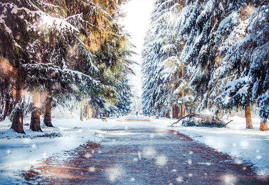 Toile de fond d'hiver neige forêt route pays des merveilles de photographie