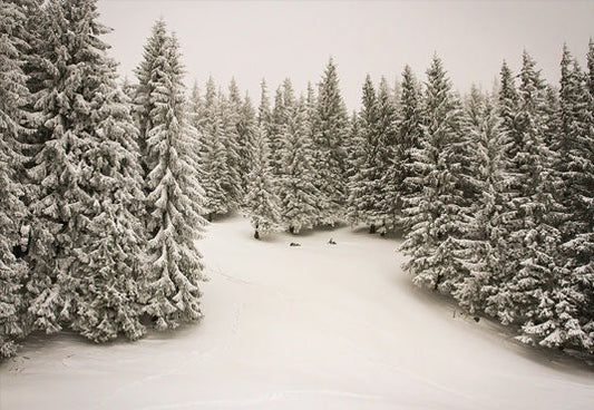 Toile de fond décors de photographie d'hiver pour la Toile de fond de Noël