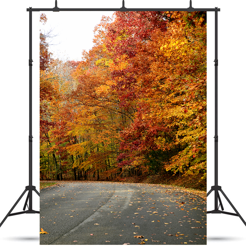 Toile de fond de la route à travers la forêt d'automne pour la photographie SBH0193