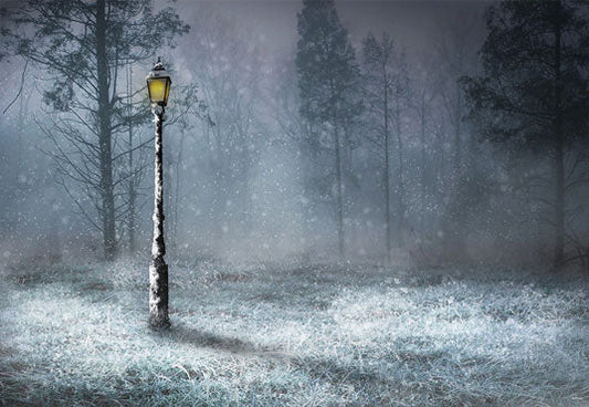 Toile de fond de photomaton de forêt de réverbère de neige d'hiver