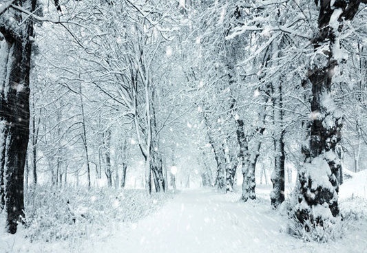 Toile de fond de forêt de couverture de neige blanche d'hiver