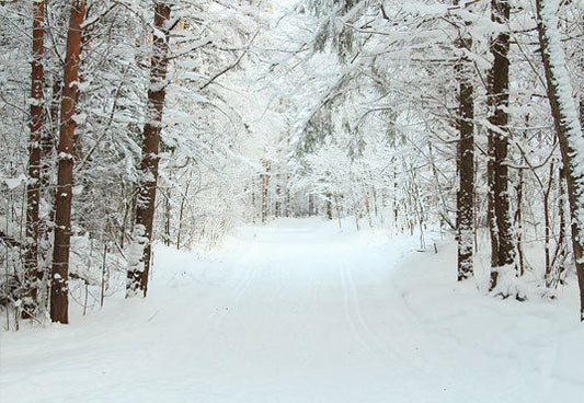 Toile de fond décors de photo de neige de Noël pour le studio