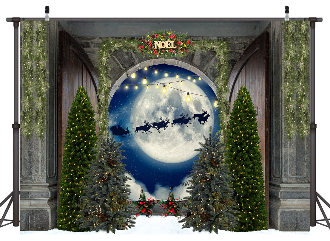 Toile de fond de la forêt de Noël de grande lune pour la photographie SBH0274