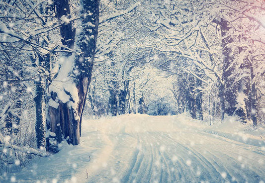 Toile de fond de neige route hiver branches photographie