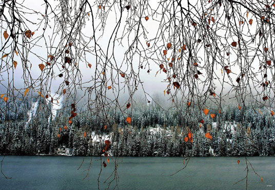 Toile de fond décors de photographie de paysages d'automne