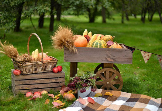 Toile de fond de photographie de citrouille d'automne