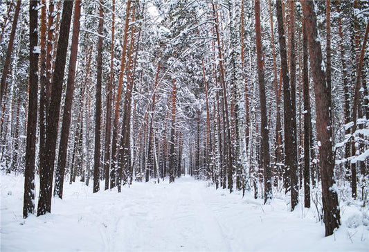 Toile de fond décors de photographie de la nature de la forêt d'hiver