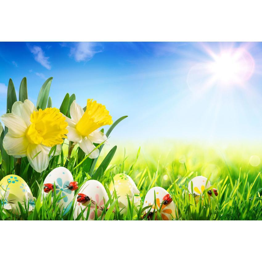 Toile de fond d'oeufs de Pâques et fleurs jaunes fond herbe verte sous le soleil photographie