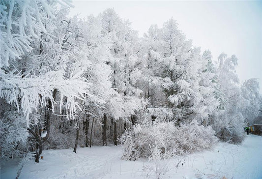 Toile de fond de branches de neige d'hiver décors de Noël