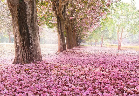 Toile de fond de route de fleurs belle roses pour célébrer la fête des mères