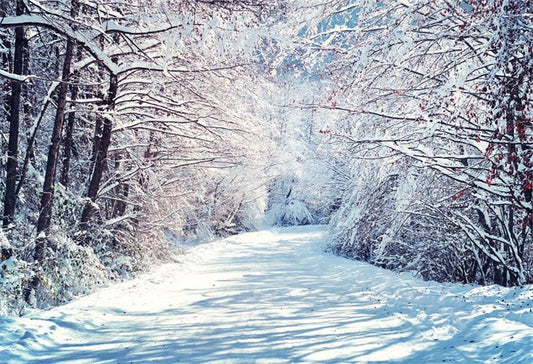 Toile de fond décors de photographie de branches de neige d'hiver pour Noël