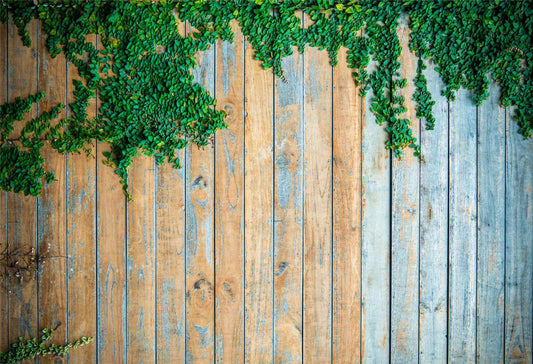 Toile de fond rétro bleu mur en bois vert photographie