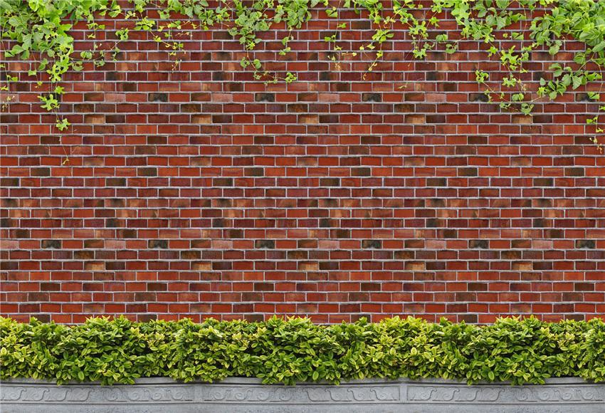 Brick Wall Creeper Green Leaves Backdrops for Photo Studio