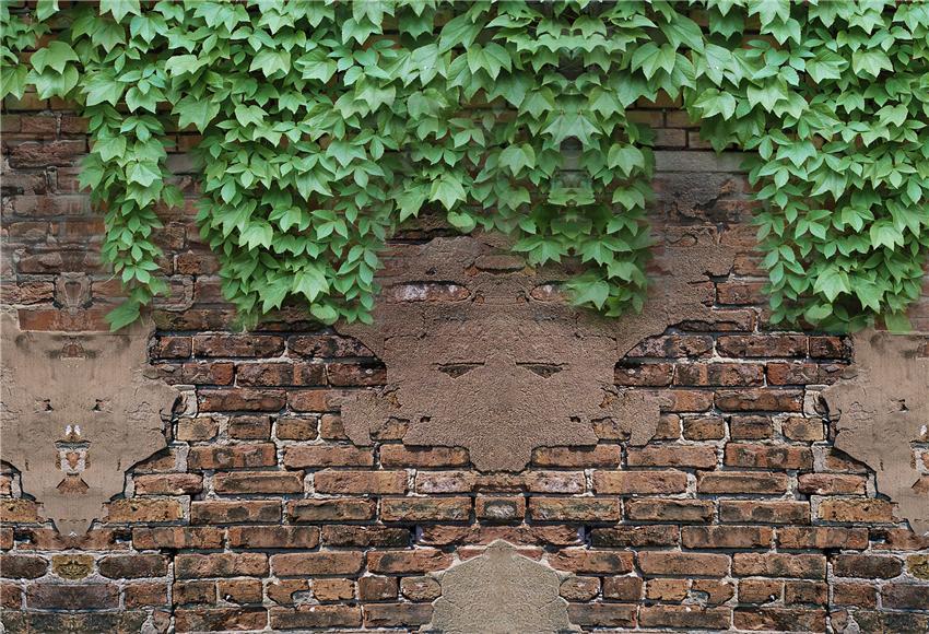 Old Brick Wall with Creeper Photography Backdrops