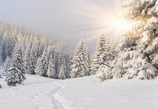 Toile de fond de couverture de neige forêt photographie d'hiver