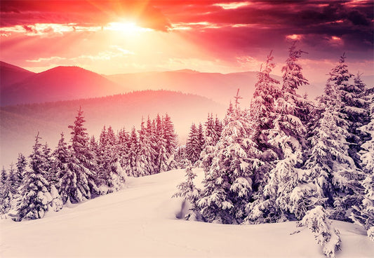 Toile de fond de photographie d'hiver fond de lumière du soleil de la forêt de neige