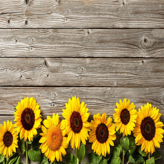 Toile de fond de tournesol brun plancher de mur en bois texture de photographie