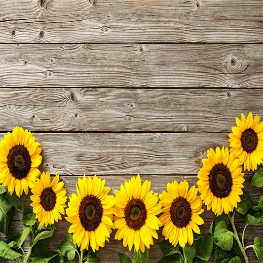 Toile de fond de tournesol brun plancher de mur en bois texture