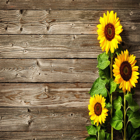 Toile de fond de tournesol brun foncé sol en mur en bois texture