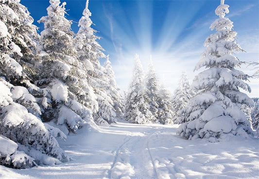 Toile de fond de photographie de forêt de neige blanche fond d'hiver