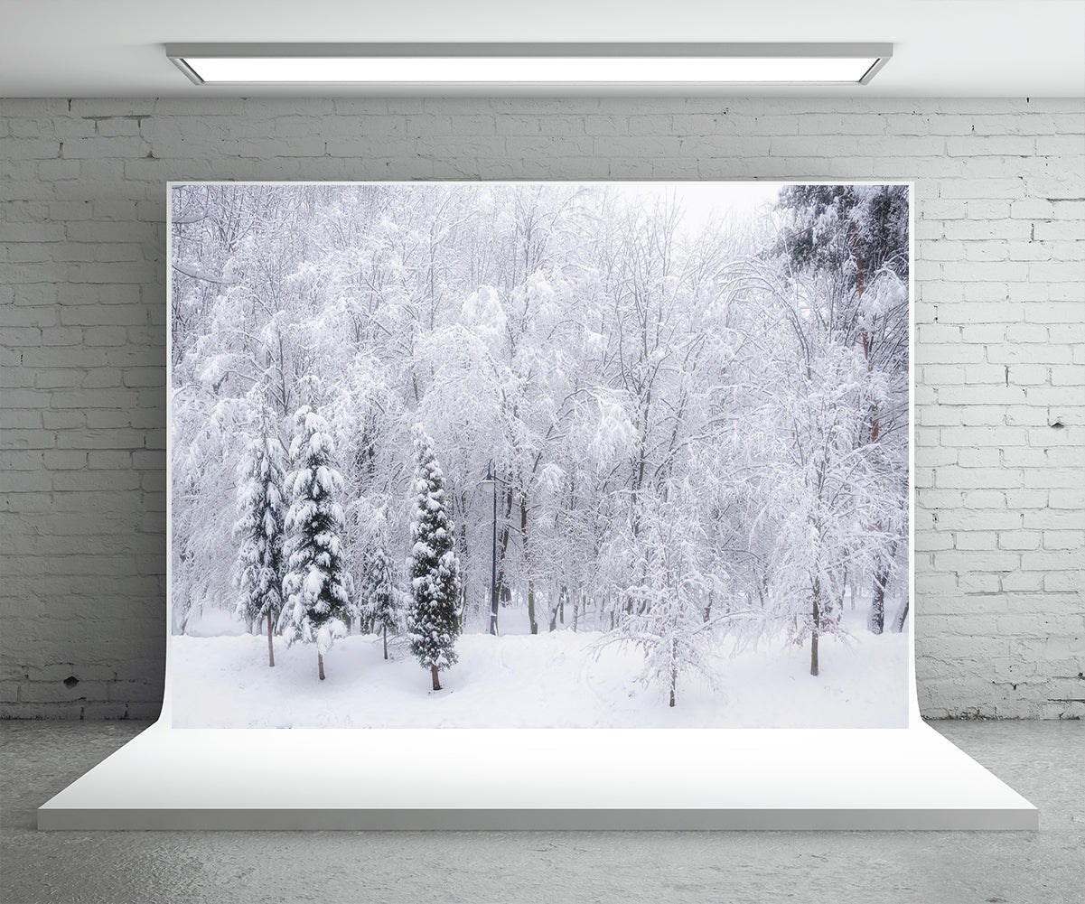 Toile de fond de couverture de neige arbre photographie d'hiver