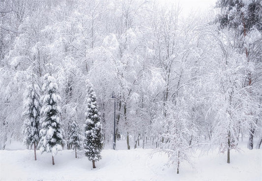 Toile de fond de couverture de neige arbre photographie d'hiver