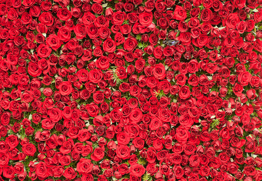 Toile de fond de photomaton de la Saint-Valentin rose rouge pour le studio