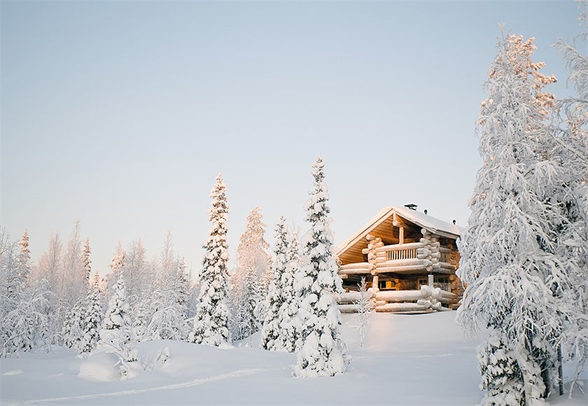 Toile de fond d'hiver forêt maisons photographie fond de neige