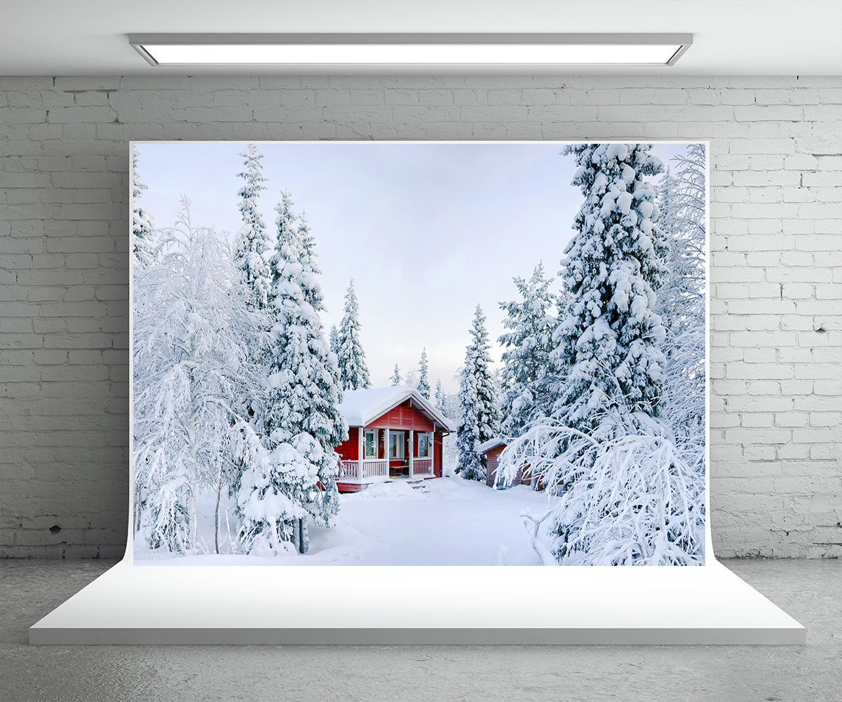 Toile de fond de neige forêt maisons rouges photographie fond hiver