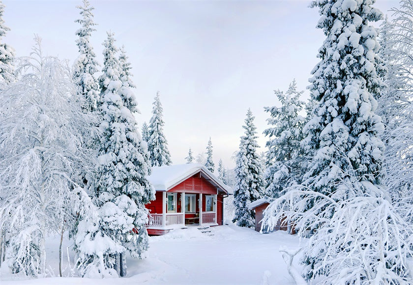 Toile de fond de neige forêt maisons rouges photographie fond hiver