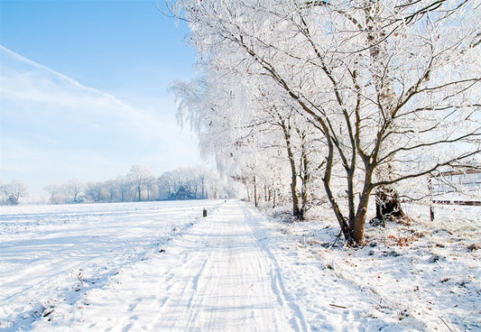 Toile de fond de blanc neige arbre photographie fond d'hiver