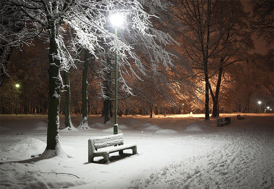 Toile de fond d'écran du pays des merveilles du parc d'hiver de neige