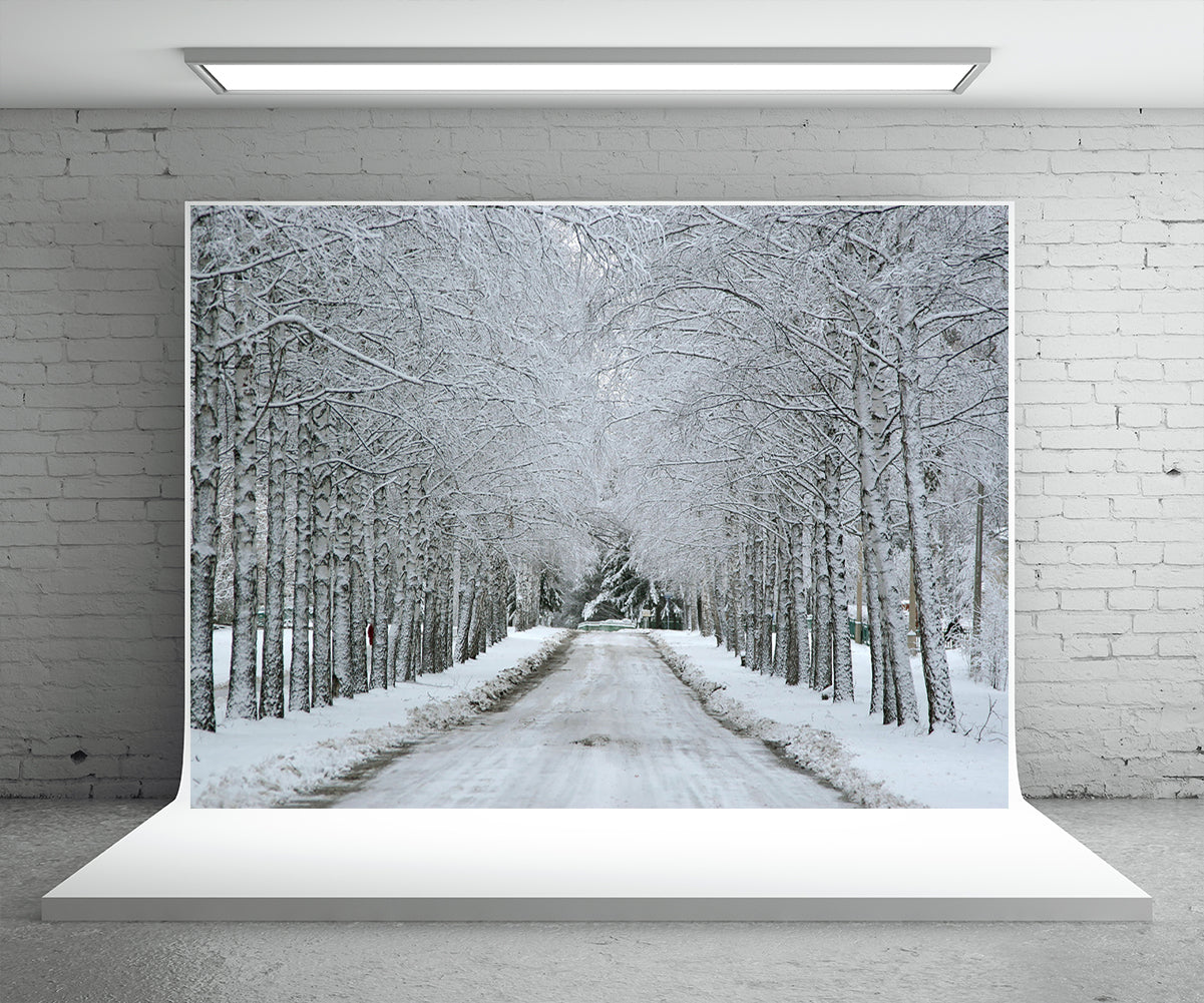 Toile de fond de neige hiver pays des merveilles route pour la photographie