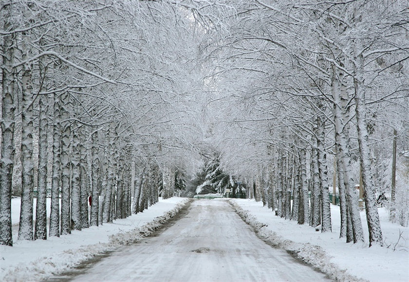 Toile de fond de neige hiver pays des merveilles route pour la photographie